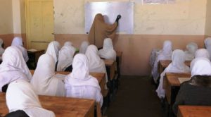 زده کوونکي