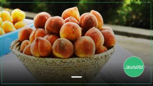 تازه میوه