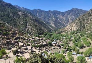 وانت وایګل نورستان