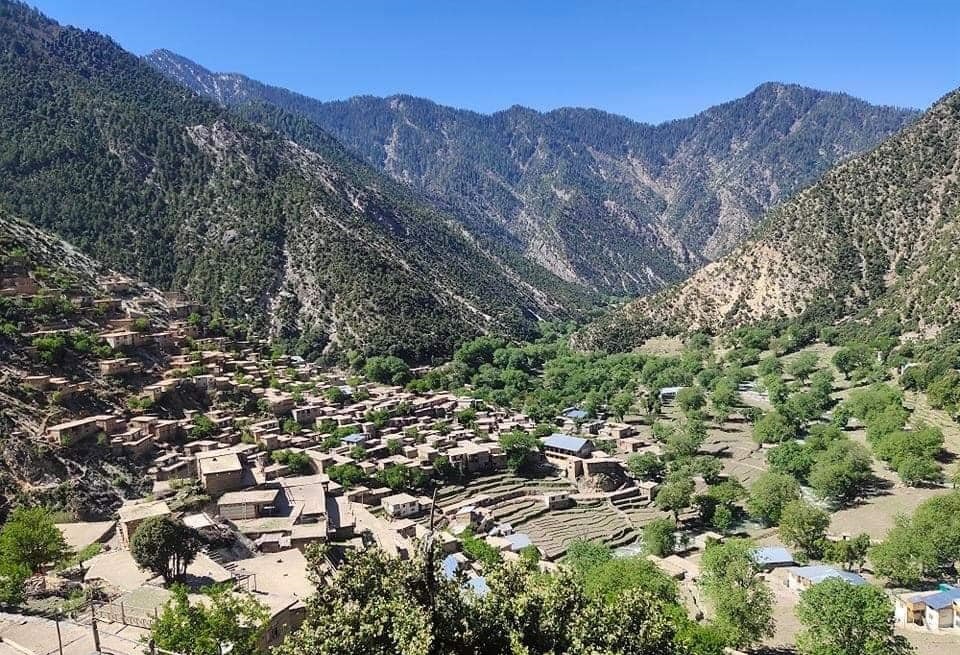 وانت وایګل نورستان