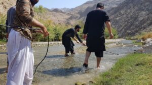 ارزګان ماهیان