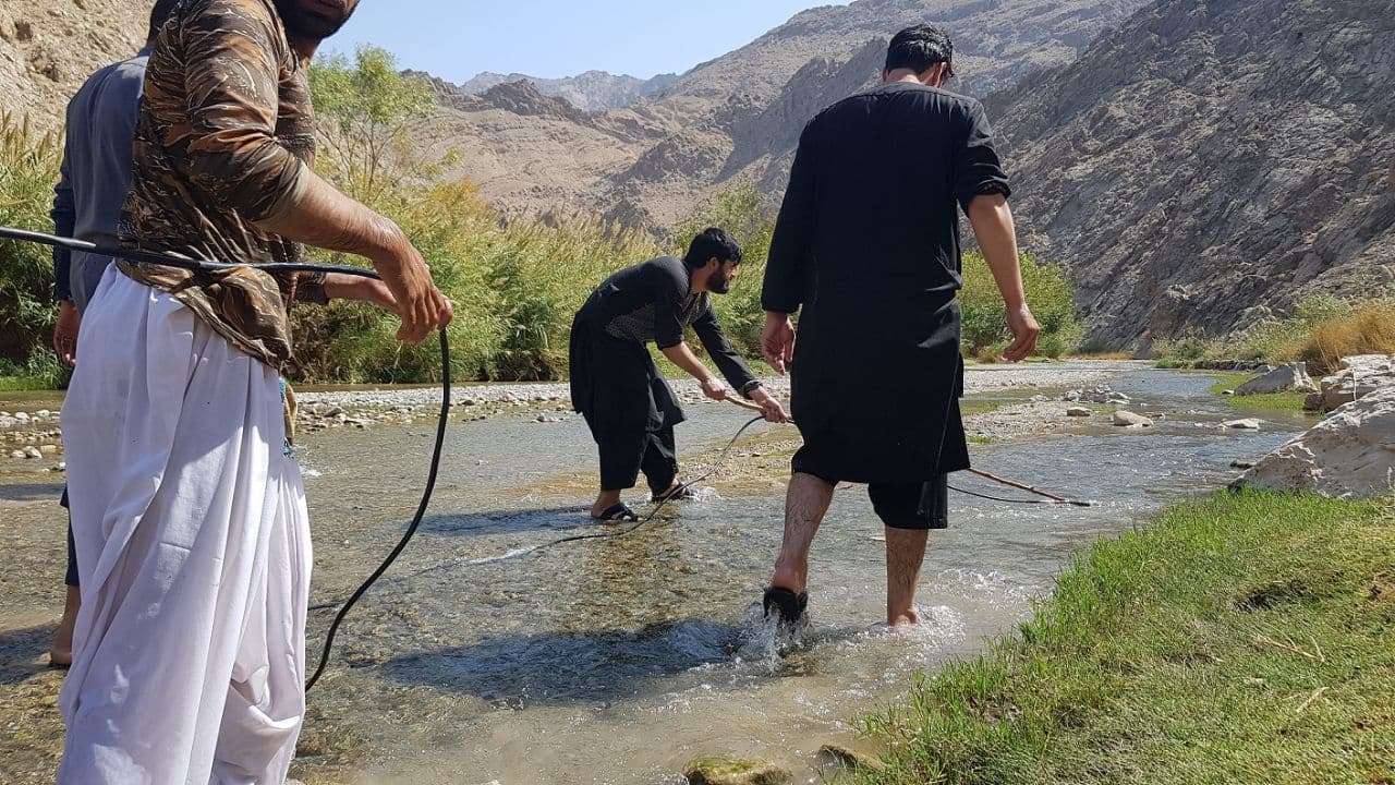 ارزګان ماهیان