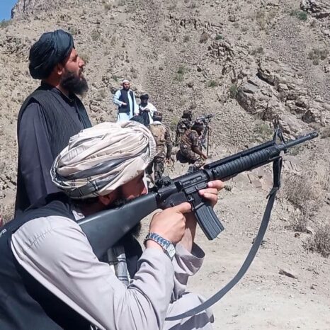 شاهي کوټ کې طالبان