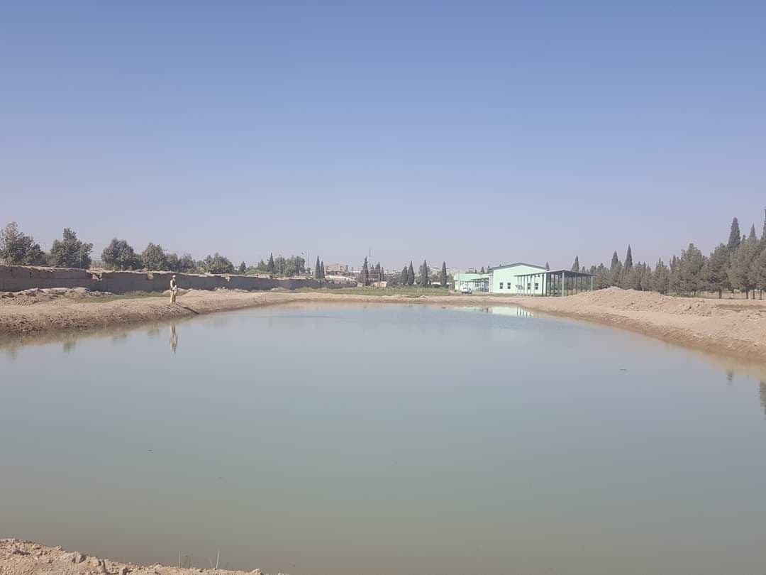 کبانو فارم