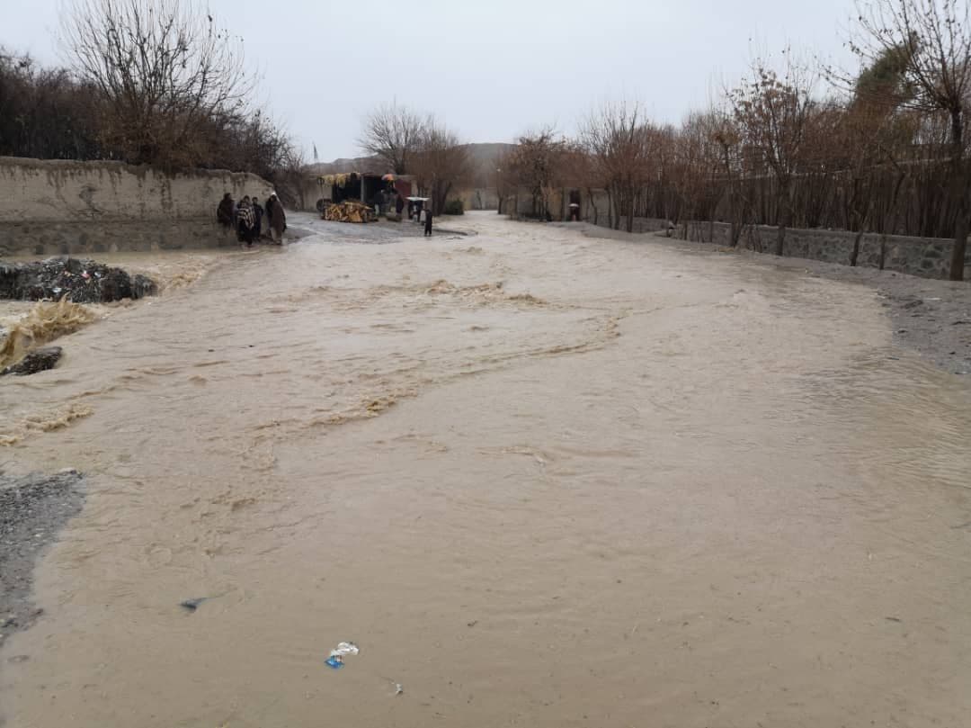 ارزګان