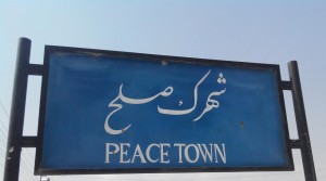 محمد علی کاوه