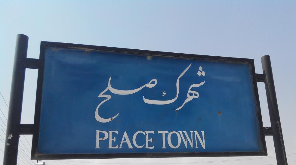 محمد علی کاوه