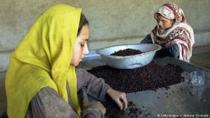 اختصاص پارک صنعتی به زنان بازرگان؛ روزنه‌یی برای حضور زنان در بازار اقتصاد