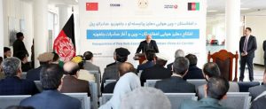 جلغوزه‌ی افغانستان روی سفره‌ی چینی‌ها ‌می‌رود