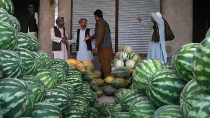چرا میوه و سبزی افغانستان این‌روزها خریدار ندارد؟