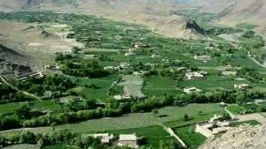 حمله‌ی طالبان در کجران دایکندی؛ از کشته و زخمی‌شدن ۵۳ نیروی دولتی تا آواره‌شدن ۱۸۰۰ خانواده