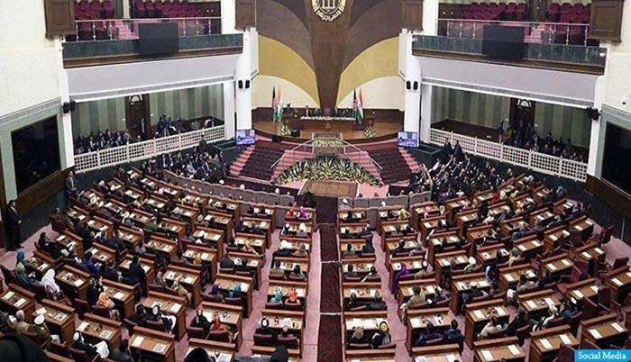 پارلمان ما شار زنبور است