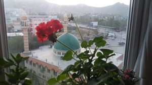 طالبان و وعده‌های توخالی صلح