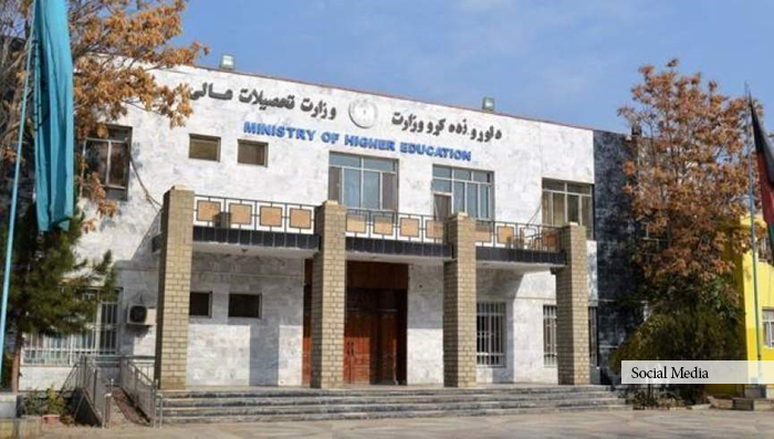 نصاب‌‌ تحصیلی جدید دانشگاه‌ها؛ «از دانشگاه تا بازار کار هنوز فاصله‌ زیاد است»