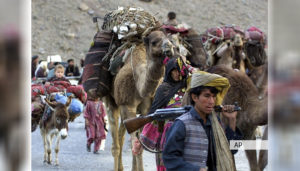 بی‌توجهی دوامدار حکومت به تقابل کوچی‌ها و ده‌نشین‌ها