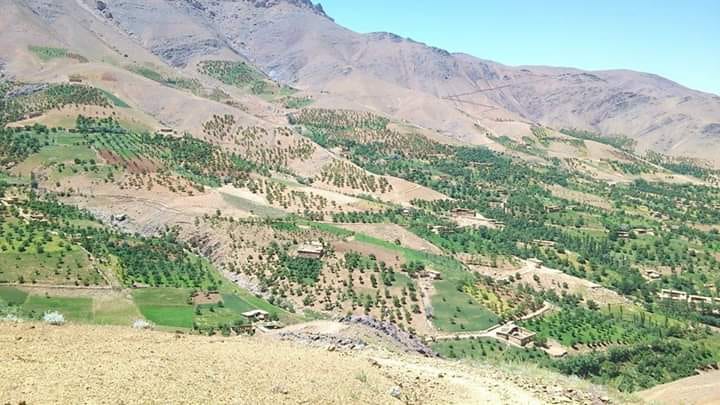 دفع حمله‌ی طالبان در ولسوالی پاتوی دایکندی