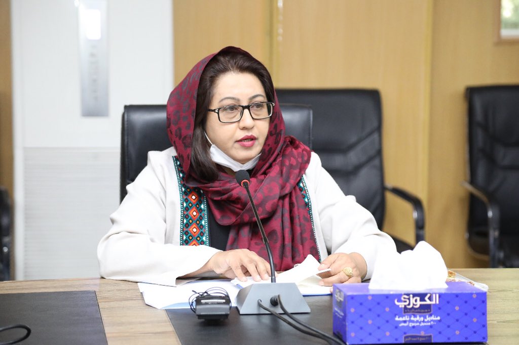 ناجیه انوری، سخن‌گوی وزارت دولت در امور صلح