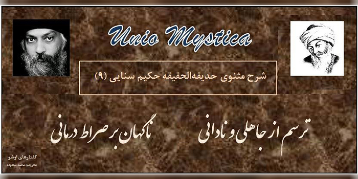 آن‌سوی پُل | شرحِ مثنویِ حدیقة الحقیقه‌‌ی حکیم سنایی (9)