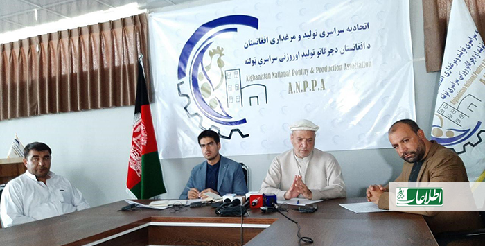 اتحادیه مرغ‌داران افغانستان: اگر واردات قاچاقی مرغ زنده متوقف نشود، سکتور مرغداری ورشکست می‌شود