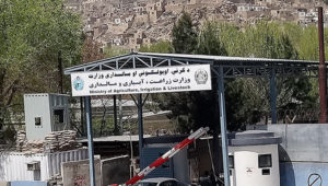 ادعای فساد در تطبیق برنامه 5.8 میلیاردی وزارت زراعت برای محصولات زراعتی در زمان کرونا