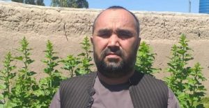 مدیر امنیت شهری امنیت ملی ارزگان