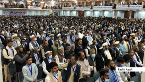 همزیستی طیاره و شتر