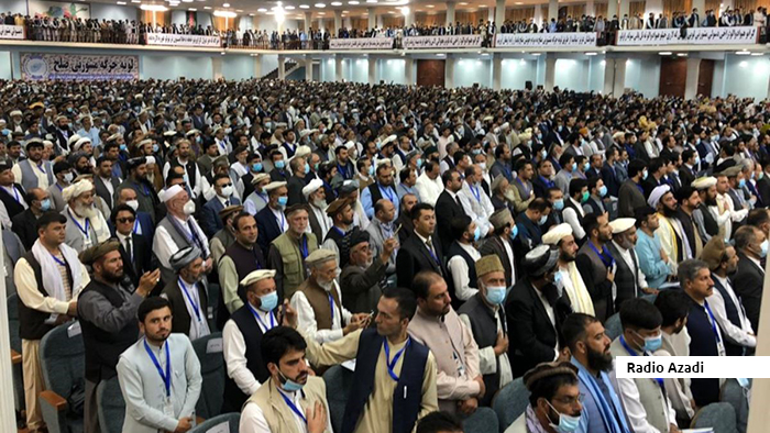 همزیستی طیاره و شتر