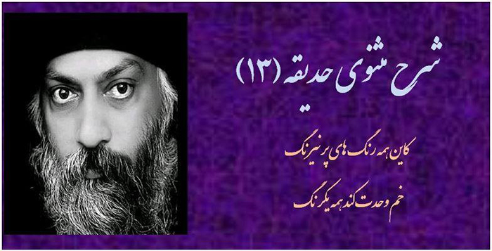 خُم وحدت؛ شرح مثنوی حدیقه (13)