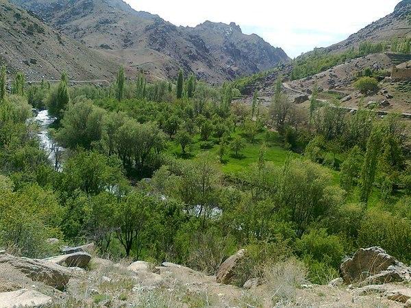 ولسوالی جاغوری