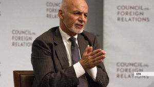 نقش کم‌‌رنگ غنی