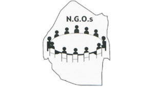 مؤسسات غیردولتی (NGO) و مسأله شناخت محلی
