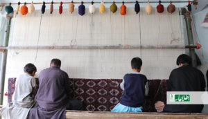در تقلای بقای قالین‌بافی