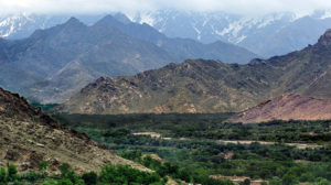 کاپیسا