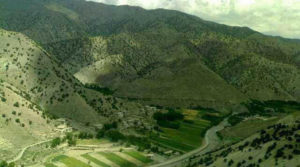 ولایت پکتیا