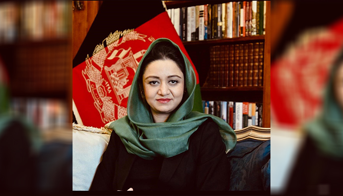 رویا رحمانی، سفیر جمهوری اسلامی افغانستان در ایالات متحده - عکس از وبسایت سفارت افغانستان در واشنگتن