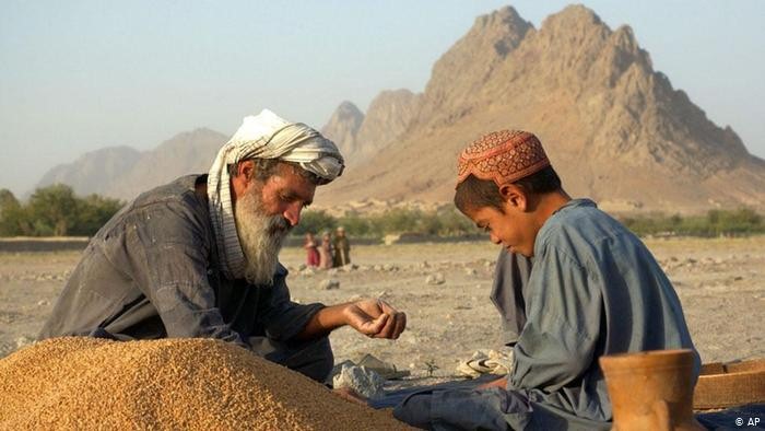 زندگی روستایی