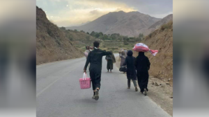 ولسوالی جلریز