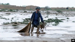 علفچرها و ارتباط آن با خطرات حوادث طبیعی