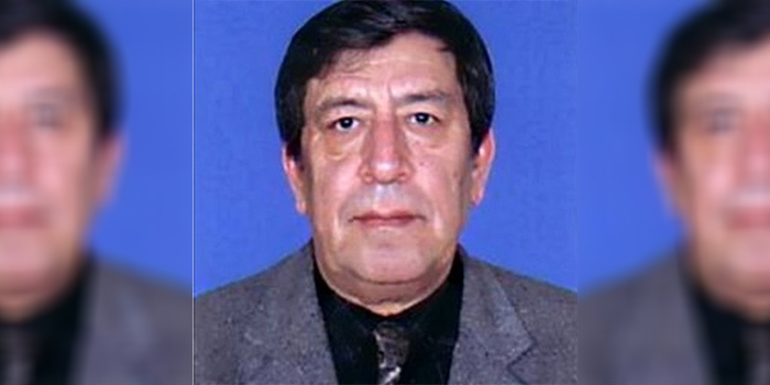 دمخور جنگ، سیاست و فرهنگ
