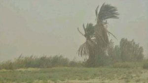 وزش تُندباد در ننگرهار