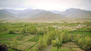 ولسوالی جلریز