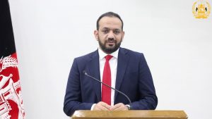 خالد پاینده، سرپرست وزارت مالیه