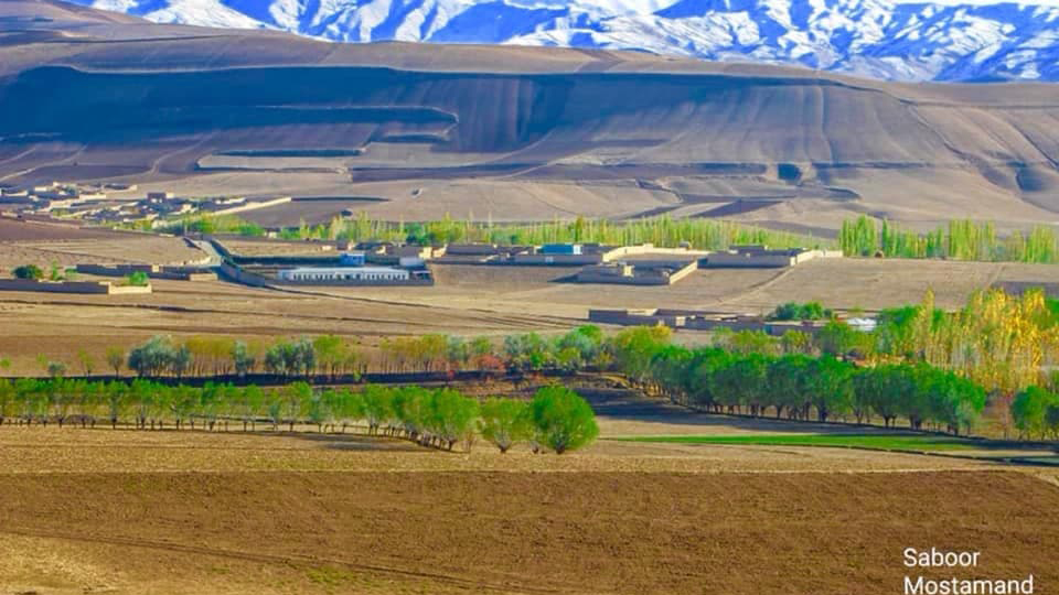 ارگوی بدخشان