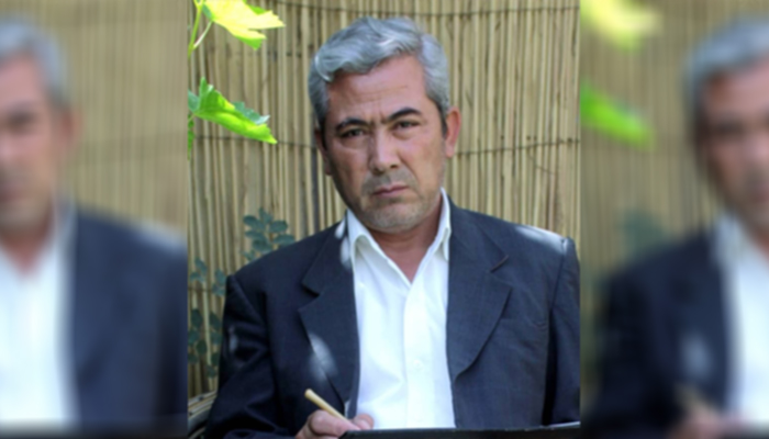 آواره‌ای در وطن