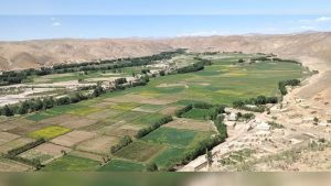 ولسوالی دولت‌یار