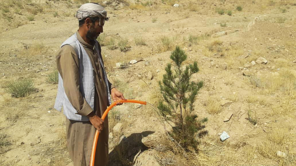 کمربند سبز شهر کابل