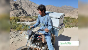 آوارگان دایکندی
