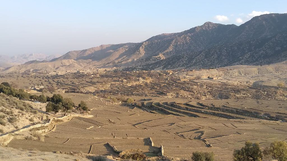 قتل اعضای خانواده در لغمان