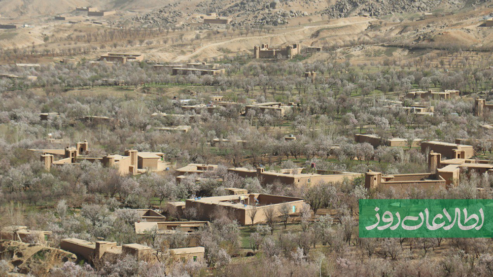 دایکندی