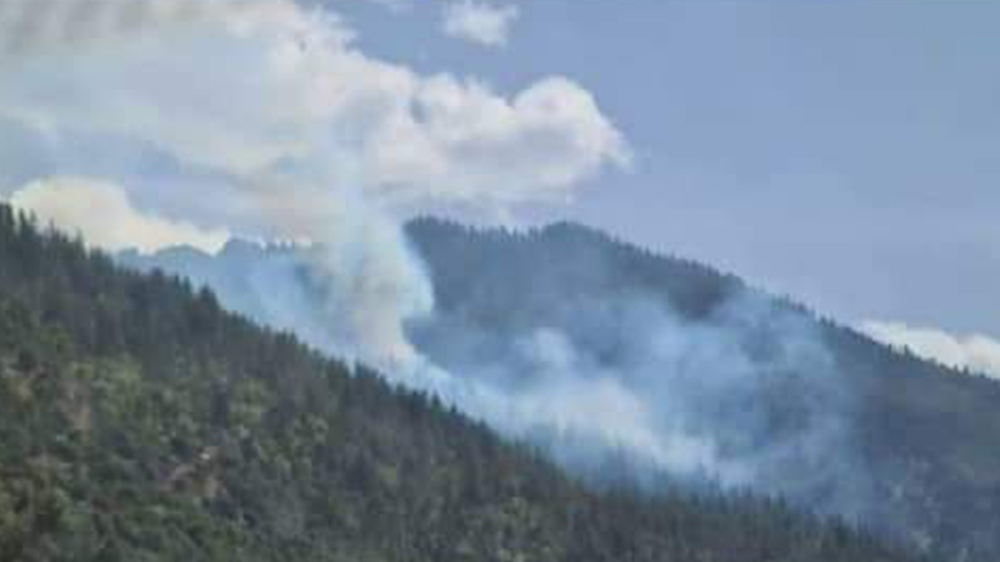 آتش‌سوزی در جنگلات نورگرام نورستان